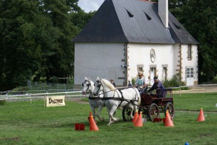 Location de calèche, mariage, fête d'entreprise